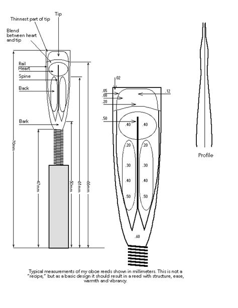 Oboe Reed Diagram