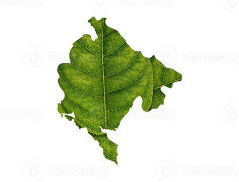 Montenegro Map Made Of Green Leaves Ecology Concept Png