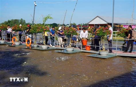 Turismo vietnamita en delta del río Mekong continúa cosechando frutos