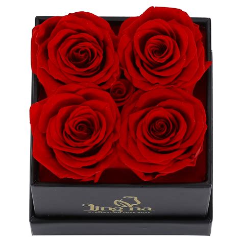 Classic 4 Everlasting Rose Display Lingna Everlasting Love Roses