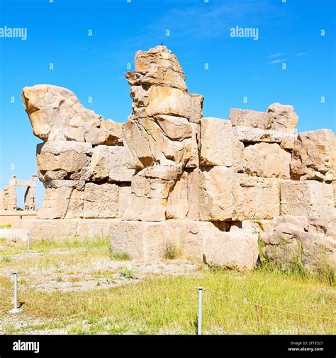 In iran persepolis Stock Photo - Alamy