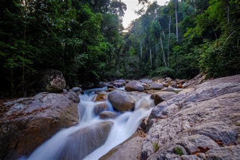 Sungai Rengat gamit kunjungan pelawat - Kosmo Digital