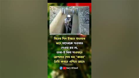 হে আল্লাহ আমাদের কে সঠিক বুঝার তৌফিক দান করুন🤲 ইসলামিক স্ট্যাটাস