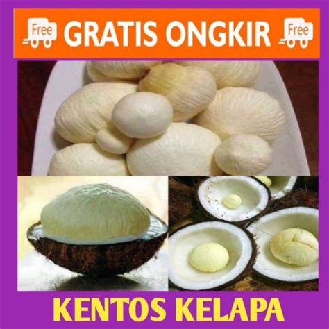 Jual Kentos Kelapa Segar 1kg Shopee Indonesia