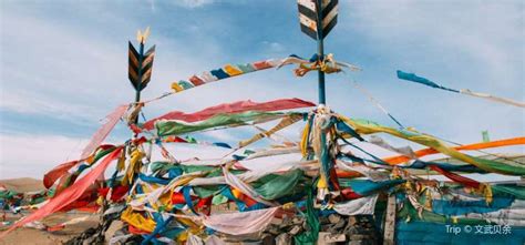 tripcom haiyan travelogues