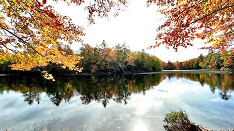 Maine Foliage Conditions Reaching Peak In Latest Foliage Report