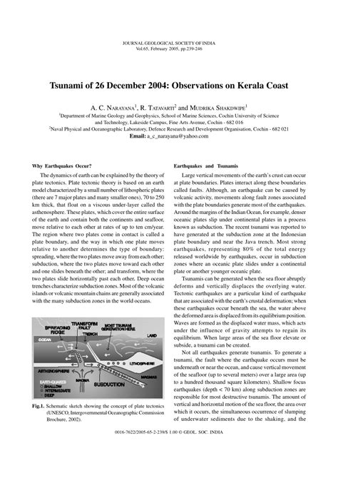 (PDF) Tsunami of 26 December 2004: Observations on Kerala Coast