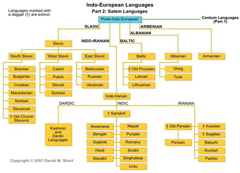 Indo European Language Branch