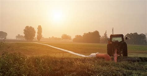 Quanto Inquinamento Atmosferico Causa L Agricoltura In Lombardia