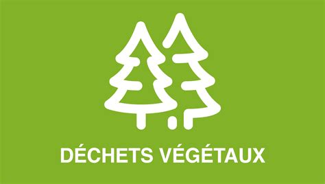 Collecte Des D Chets Verts Et Des Sapins Mairie De La Celle Saint Cloud