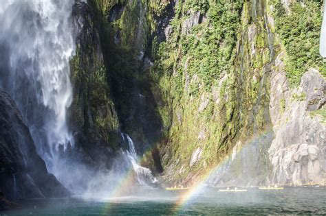 Kayaking Milford Sound - littlegrunts.com