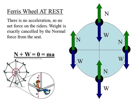 Understanding Centripetal Force On A Ferris Wheel Through Free Body