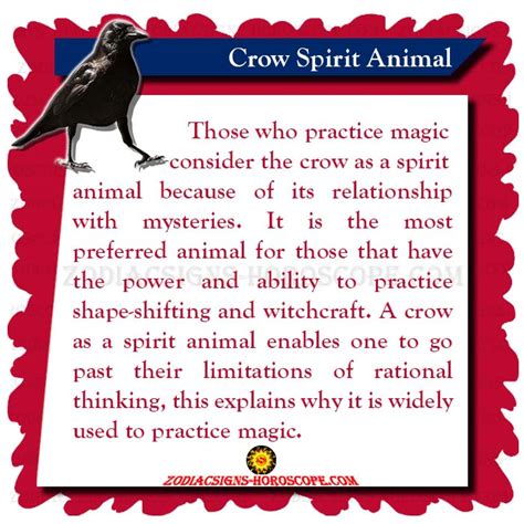 Crow Spirit Animal Meaning Symbolism Dream Of The Crow Totem