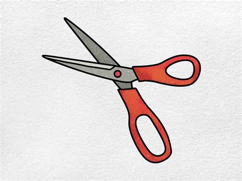 trimming scissors drawing easy  warren short blog