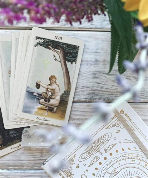 TAROT DLA POCZĄTKUJĄCYCH kurs online Roślinna Moc