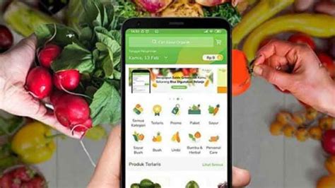 Aplikasi Belanja Sayur Online Mudah Dan Gak Repot