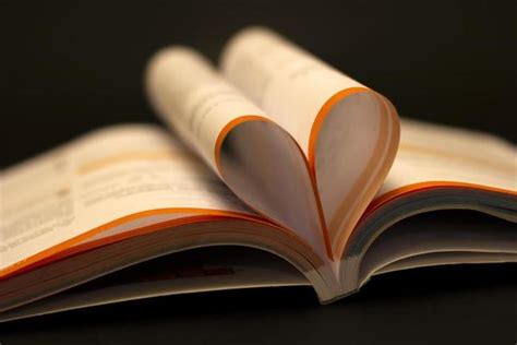 book love stock  images  backgrounds