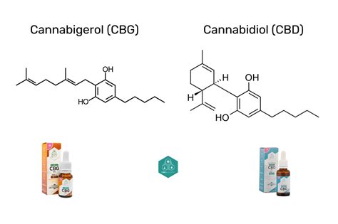 The Emerging Potential Of Cannabigerol Cbg A Comprehensive Guide