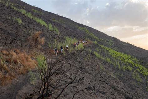 Stromboli Trekking Al Tramonto Alla Sciara Del Fuoco GetYourGuide