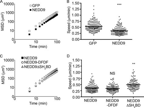 Src Kinase Determines The Dynamic Exchange Of The Docking Protein NEDD9