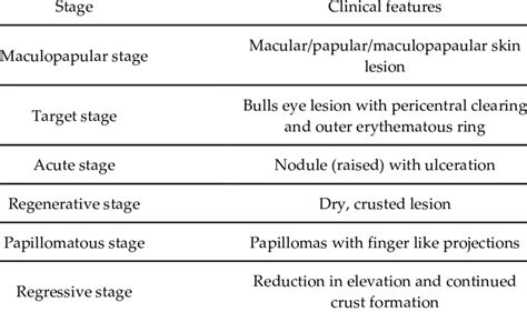 Clinical Stages Of Orf Originally Described By Leavell Et Al