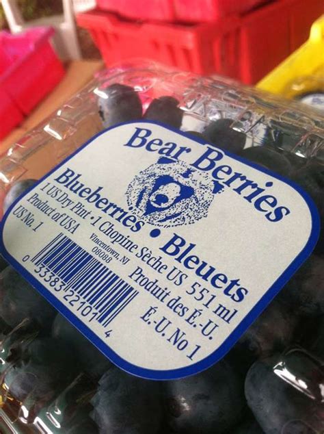 Bear Berries | PickYourOwn.farm