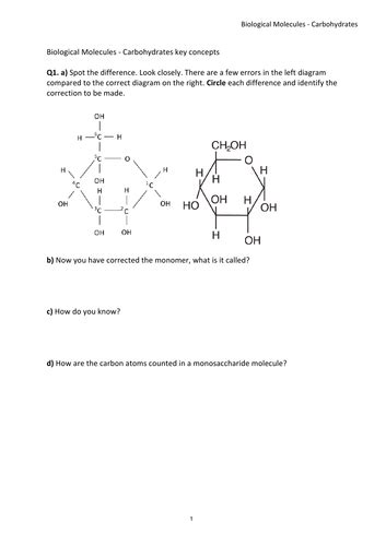 Biological Molecules Year 12 A Level Carbohydrates Monosaccharides Disaccharides