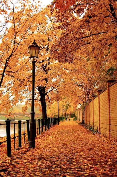 1000+ images about Fall & Winter Scenes on Pinterest | Autumn, Central park and Country roads