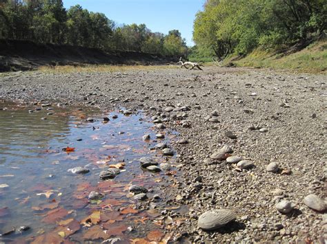 Mussels Stranded At Marais De Cygnes Refuge Us Geological Survey