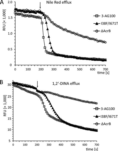 Real Time Efflux Assays With Nile Red A And 1 2 DINA B With