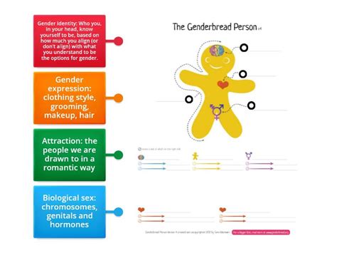 Genderbread person ALNS - Labelled diagram