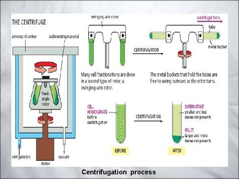 separation  bioproducts downstream lec   extraction