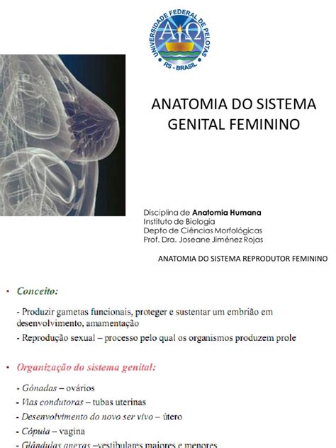 Anatomia Feminina Fotos Reais Pdf - ANATOMIA DO sISTEMA rEPRODUTOR FEMININO | PDF | Sistema reprodutivo ...