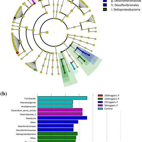 A A Cladogram That Shows The Most Differentially Abundant Bacteria