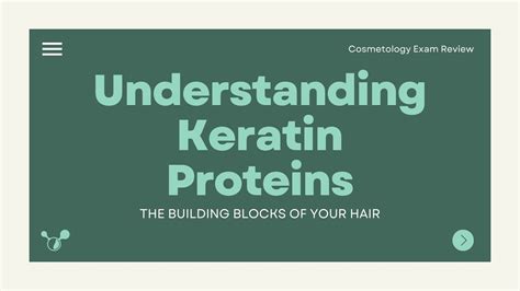 Structure Of A Keratin Protein Youtube