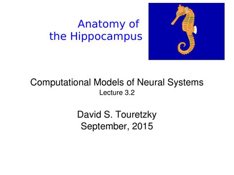 Ppt Anatomy Of The Hippocampus Computational Models Of Neural