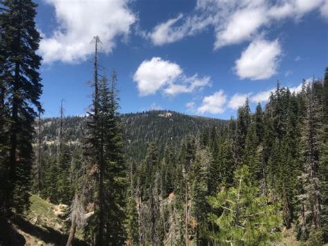 Best 10 Hikes And Trails In Sierra National Forest Alltrails