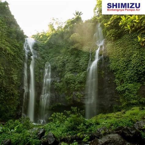 Wisata Air Terjun Sekumpul Shimizu