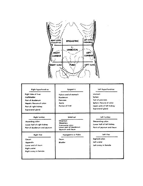 Figure 1-4. Abdominal regions. - Nursing Care Gastrointestinal and ...