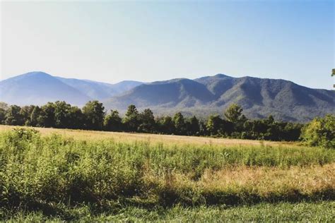 Cades Cove Campground, Great Smoky Mountains NP: The Ultimate Guide!