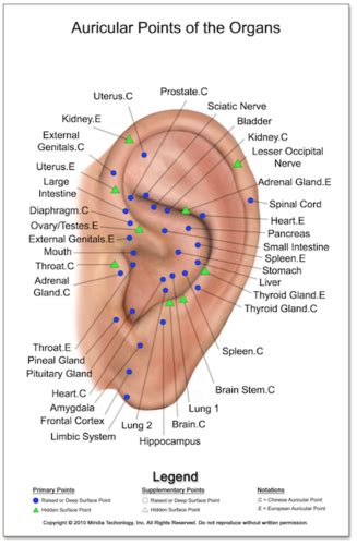 Auricular Points For Digestive System Disorders Flashcards Quizlet