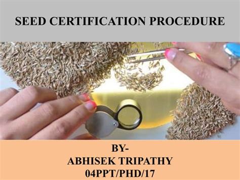 Seed Certification Procedure Ppt