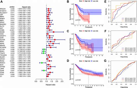 An Immune Related Prognostic Signature Associated With Immune Landscape