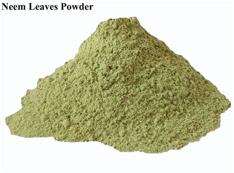 Neem Leaves Powder At Rs 45 Kg Neem Powder In Sojat ID 2854272479691