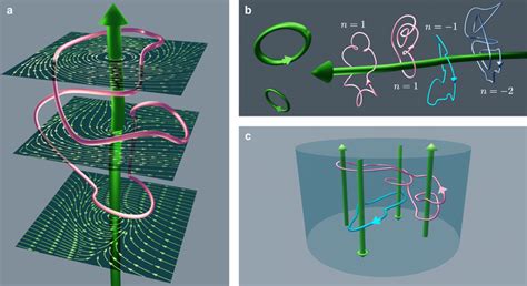 Vizualizations Of Tracer Particle Trajectories In Vortex Force Fields A