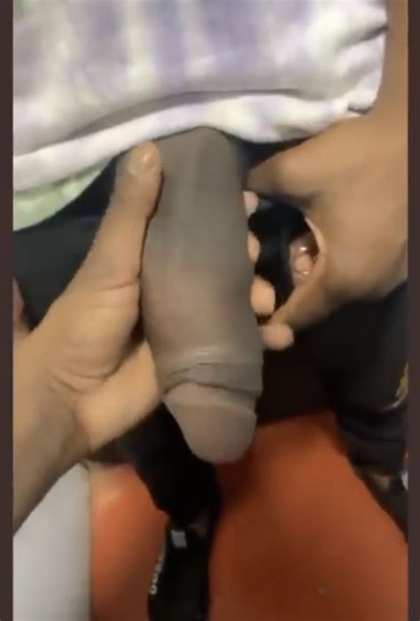 Girthy Elephant Trunk Cock