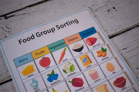 Food Groups Sorting Worksheet Busy Book Printable Homeschool Etsy