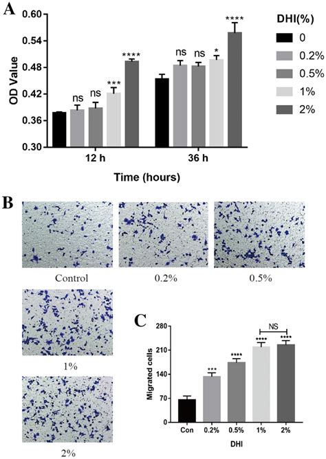 Effect Of Dhi On The Proliferation And Migration Of Rsc96 Cells A Dhi