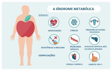 Guia Sobre A S Ndrome Metab Lica Sa De Tudoporemail