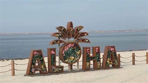 Aloha Pasir Putih PIK 2 Tangerang Wisata Lokal Rasa Hawaii